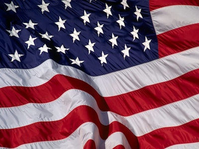 Patriotic2 10736965