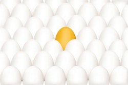 Nine business management ideas to help your business stand out and profit in a down or stalled economy.
