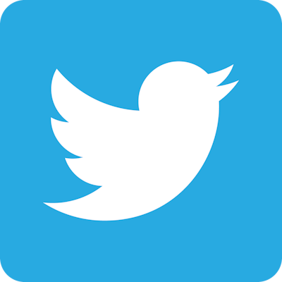 Twitter Bird White On Blue 10772071