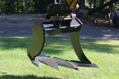 Img 1987 10781538
