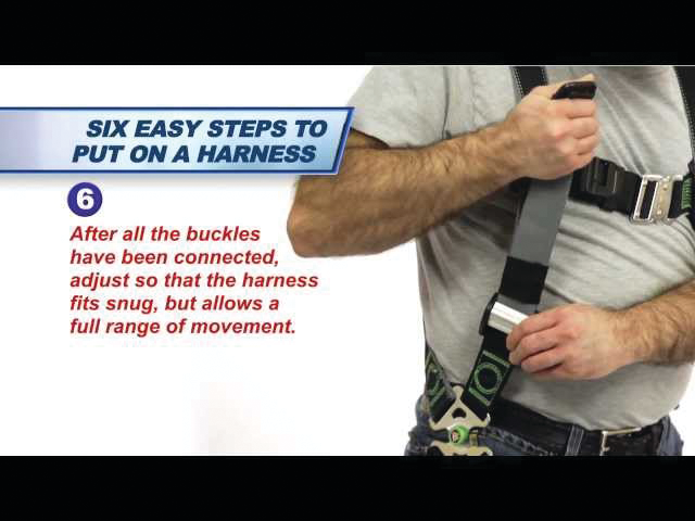 Sddefault jpg 10835833