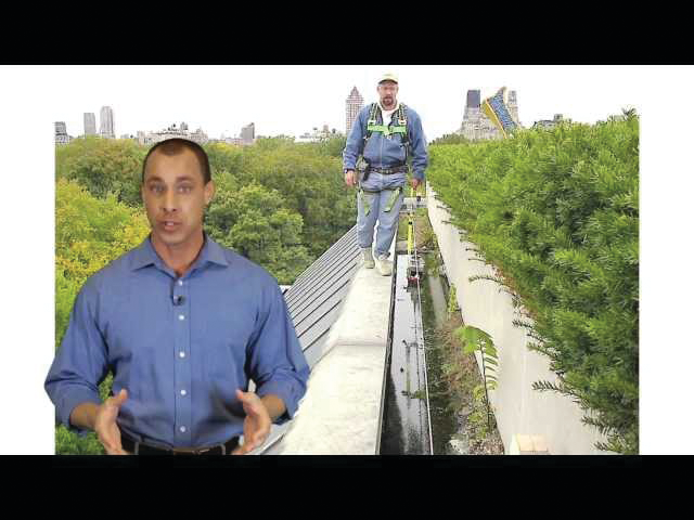 Sddefault jpg 10835839