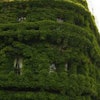 Green Building 0