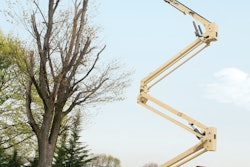 Jlg Crawler 1191 P3 10878327