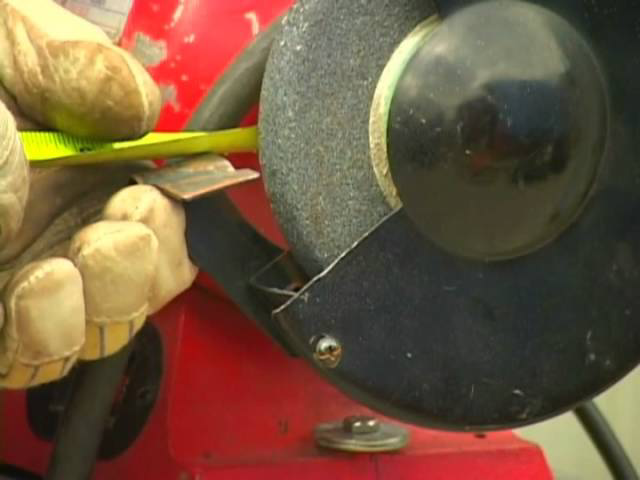 Sddefault 10883148 jpg