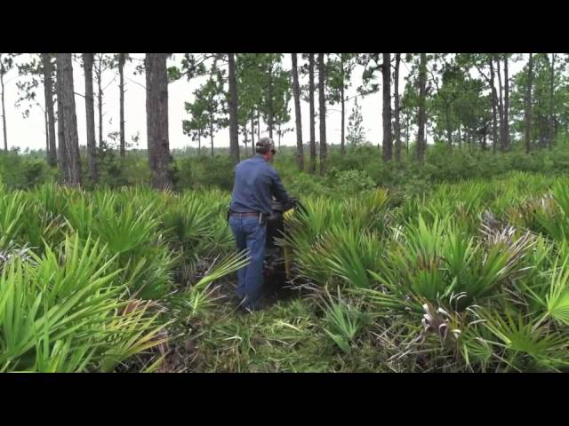 Sddefault 10911341 jpg