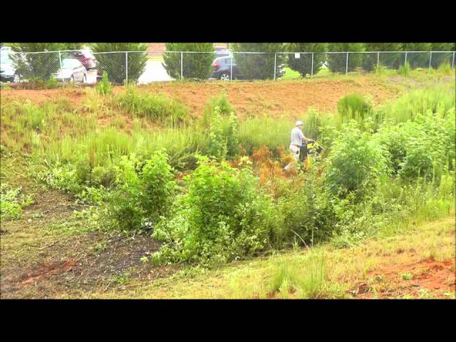 Sddefault 10911348 jpg