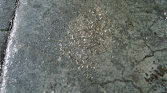 This sealer was over applied. It should have been applied 1 to 2 mils thick, but was likely 20 to 30 mils thick.