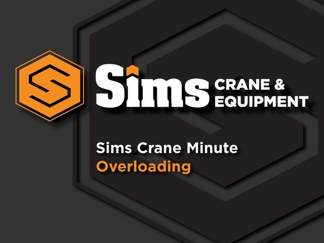 Sddefault 11148506 jpg