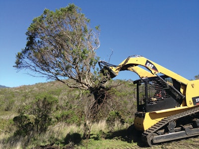 Bradco Jawz Skid Steer Shrub R 11221514