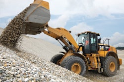 Cat Munchen Cor0057 11231200