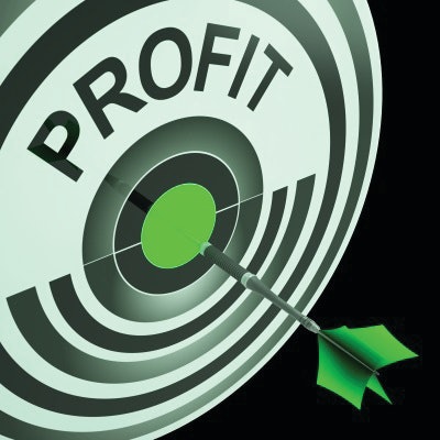 Profit-Driven construction company owners and managers focus on profitable projects, customers, and services. These give you a high return on your assets, time and energy.
