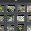 SnapSite automatically groups and monitors equipment that is close together.