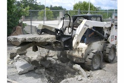 Daniel The Beak 5421f40da3899