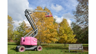 The SkyJack SJ 63AJ boom lift was used to collect seeds from the Cucumber tree, Big Shelbark Hickory, Chinquapin Oak, Kentucky Coffee Tree, Tulip Tree and the Sycamore.
