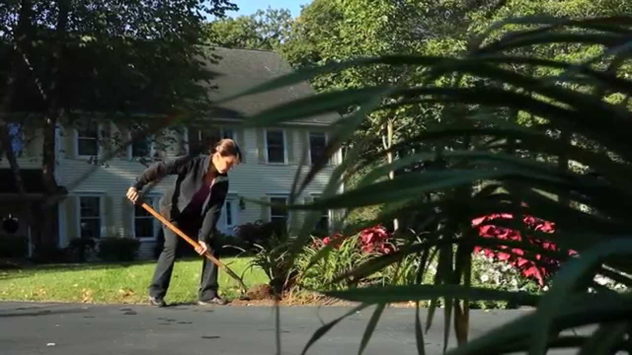 Video: How Quick Service Estimates And Invoices Mobile App Works