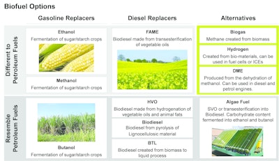 The infographic highlights the different types of biofuels and the materials from which they're derived. Source: Ricardo Strategic Consulting