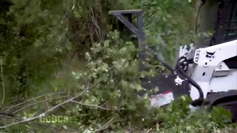 Video: Bobcat Forestry Cutter Attachment Makes Quick Work of Shredding Trees and Shrubs