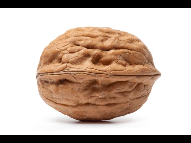 Video: How the BusyBusy Time Tracking Mobile App Simplifies Timecards for Construction Contractors