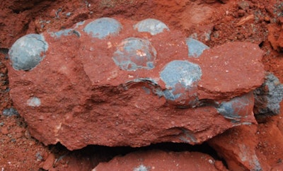 Construction workers doing road repairs in China unearthed 43 fossilized dinosaur eggs.