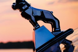 Mack bulldog 55e49d1500283