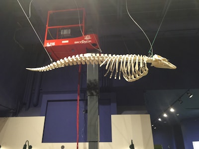 Skyjack at Aquatarium 564369443e70d
