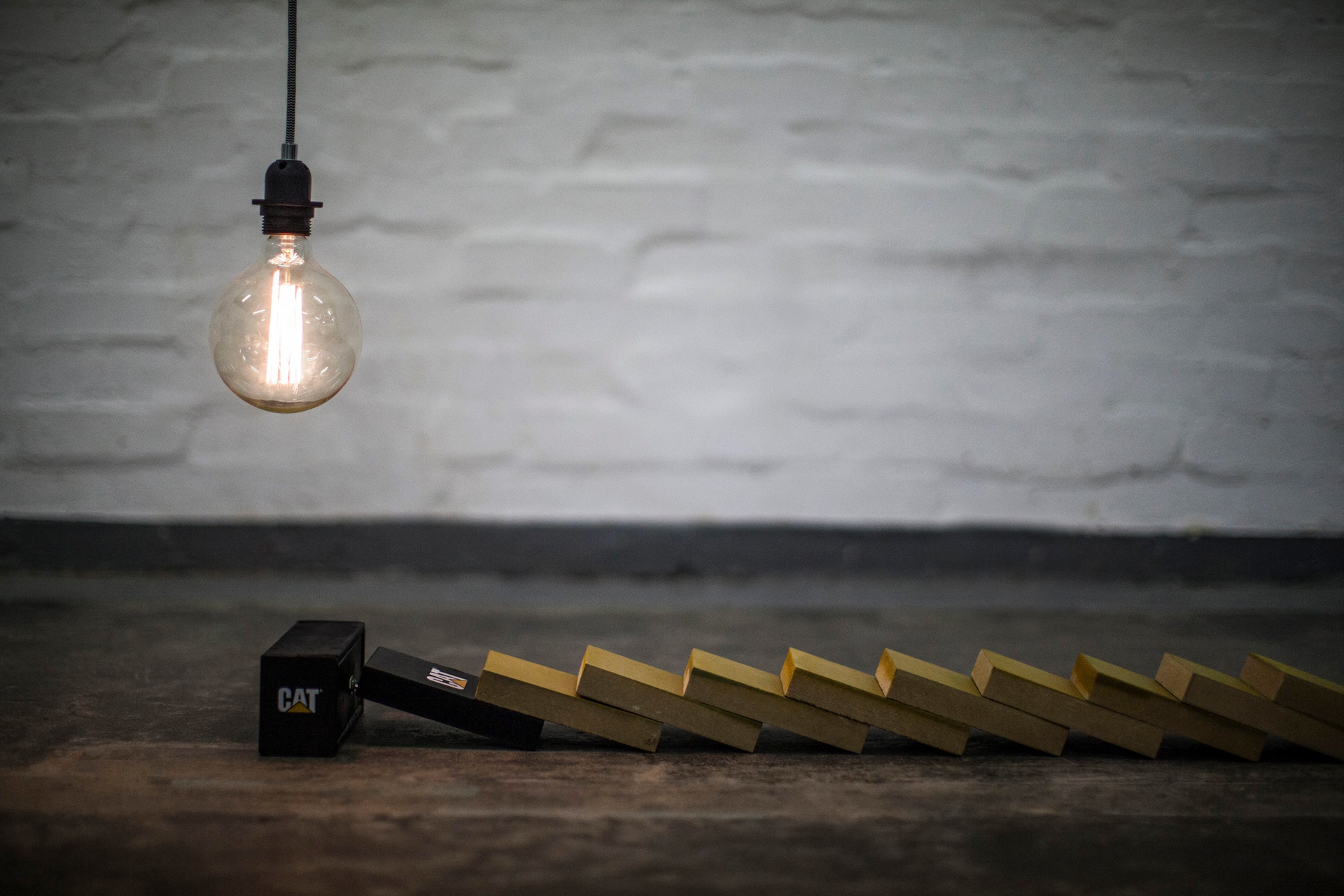 [Video] Cat Parts Plays 'Dominoes' | Cat #BuiltForIt Trials