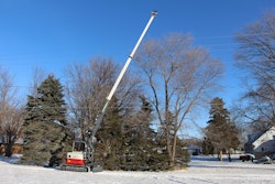 Loftness Kwik Trim 56a0038a10150