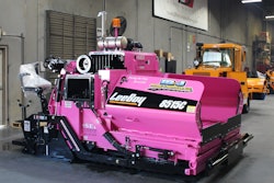 Pink Paver IMG 0040 56a7def925aed