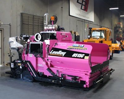 Pink Paver IMG 0040 56a7def925aed