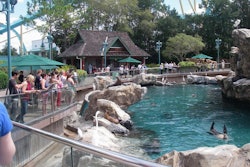 A critical element in creating Pacific Point Preserve, which resembles a fishing wharf along the Pacific Coast, was incorporating a home for the Asian small-clawed otters, sea lions and harbor seals.