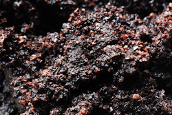 3033742 inline i 1 bio bean turns waste coffee grounds into fuel to power london 573c932af2d62