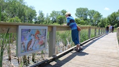 The highlight of the Brietzke Educational Wetland refurbishment is the storybook walk, which is essentially a story that is told along a pathway on a trail or in a park. The storybook walk became a reality thanks to an art sponsorship by AC Business Media.