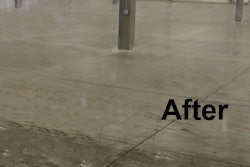 Berry Clean cleaning before after 57e01a68892e7