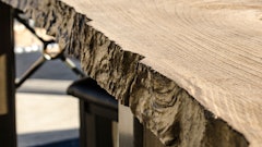 Bare Tree Edge Liner Img 58d18da302128