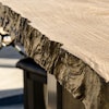 Bare Tree Edge Liner Img 58d18da302128