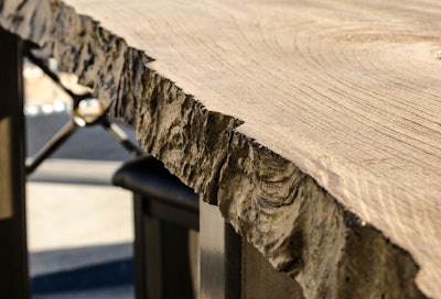 Bare Tree Edge Liner Img 58d18da302128