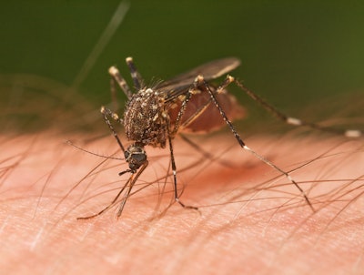 Your first action to limit mosquito outbreaks on a jobsite is to make the immediate environment unsuitable for mosquitoes.