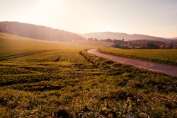 Pexels Photo 51078 59540b6dafc62