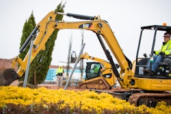 Cat 303 E Cr Mhex And 289 C On A Hillside C10295836