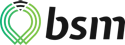 Bsm Icon+logo Colour