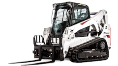 Bobcat
