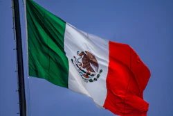 Mexico Flag