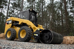 Cat 246 D Ssl C10879134