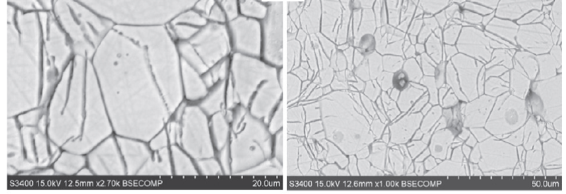 Figure 1: SEM micrographs of polished section of alite sample exposed to portlandite solution for 1 hour from Juilland and Gallucci [8] Grain boundaries becomes visible as they are preferential sites for dissolution etching.