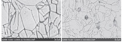 Figure 1: SEM micrographs of polished section of alite sample exposed to portlandite solution for 1 hour from Juilland and Gallucci [8] Grain boundaries becomes visible as they are preferential sites for dissolution etching.