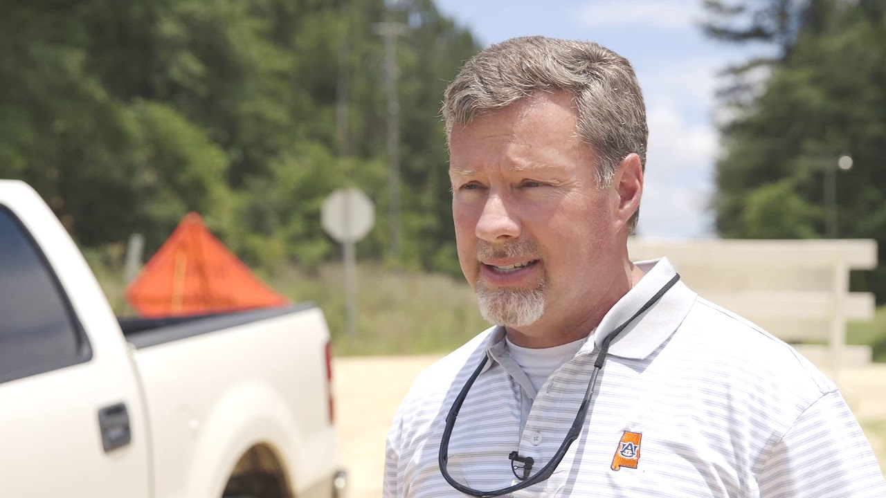 Maxresdefault 5ba6693ab01b3