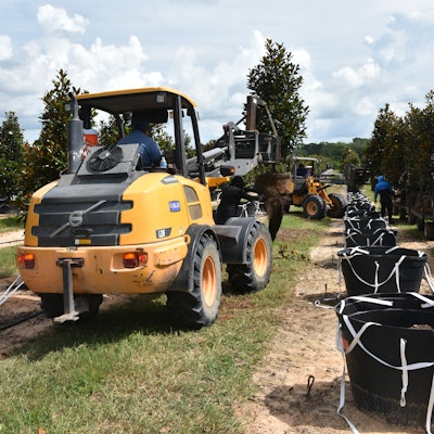 Two separate hydraulic systems - one for steering and one for work hydraulics - ensure sufficient oil flow to move and maneuver through the rows of trees and articulate or steer while lifting out tree boxes.