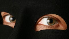 Thief Istock Downloads