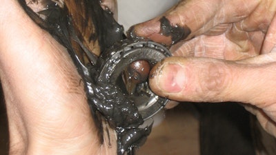 Greasing Bearings Google